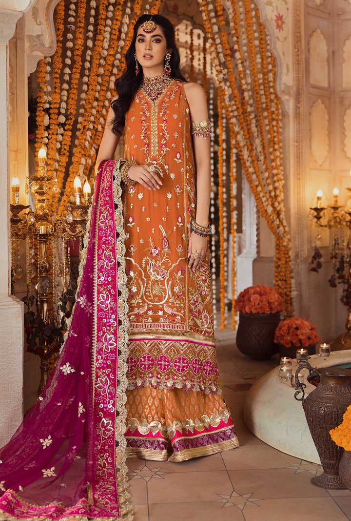 NOOR WEDDING 2026